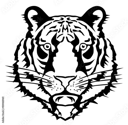 Fototapeta Naklejka Na Ścianę i Meble -  Tiger head