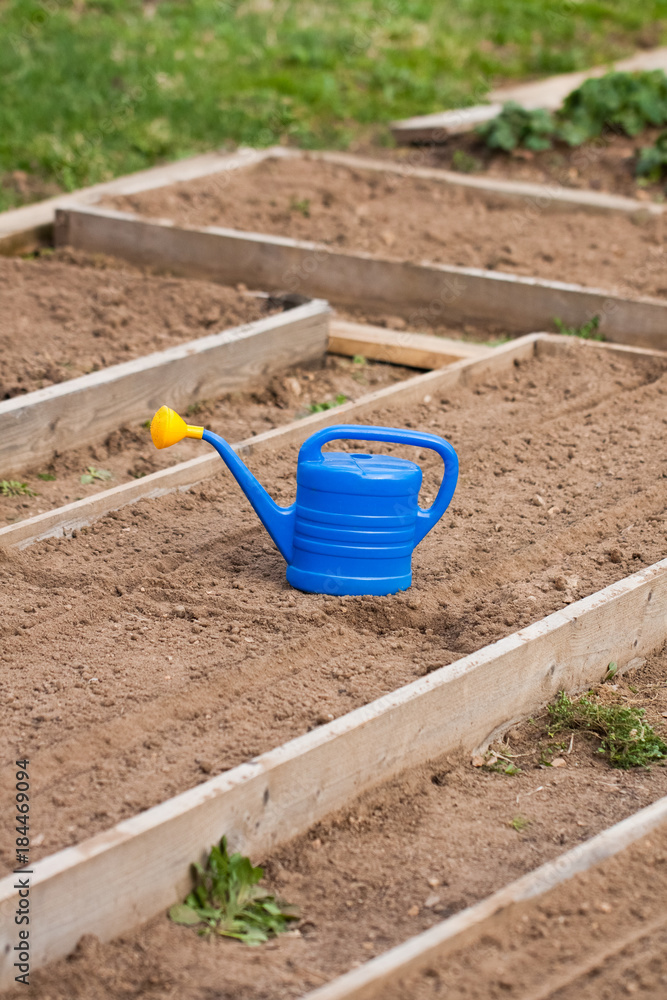 Blue Gardening Tool Watering Can On Ground Garden Bed In Garden. Spring Work In Garden. Blue Gardening Tool Watering Can On Ground Garden Bed In Garden. Spring Work In Garden.