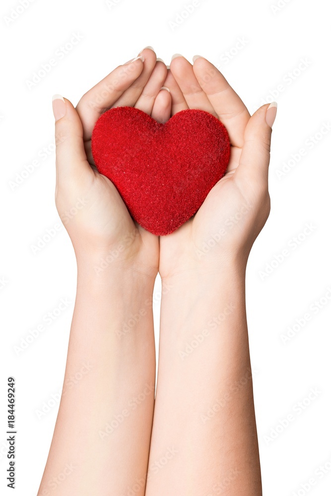 Obraz premium Hands Holding a Heart