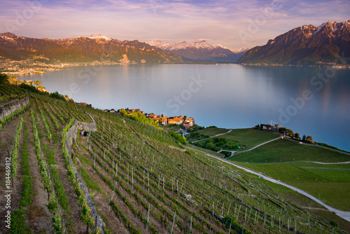 Lake Geneva Switzerland and the Alps photo