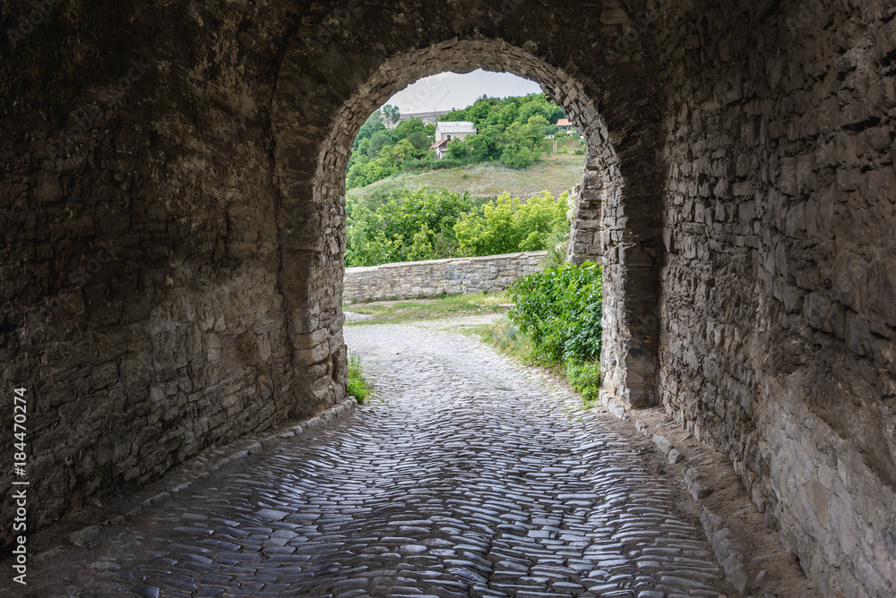 Obraz premium Gate in Stephen Bathory Tower, one of the towers of old city walls in Kamianets Podilskyi, Ukraine