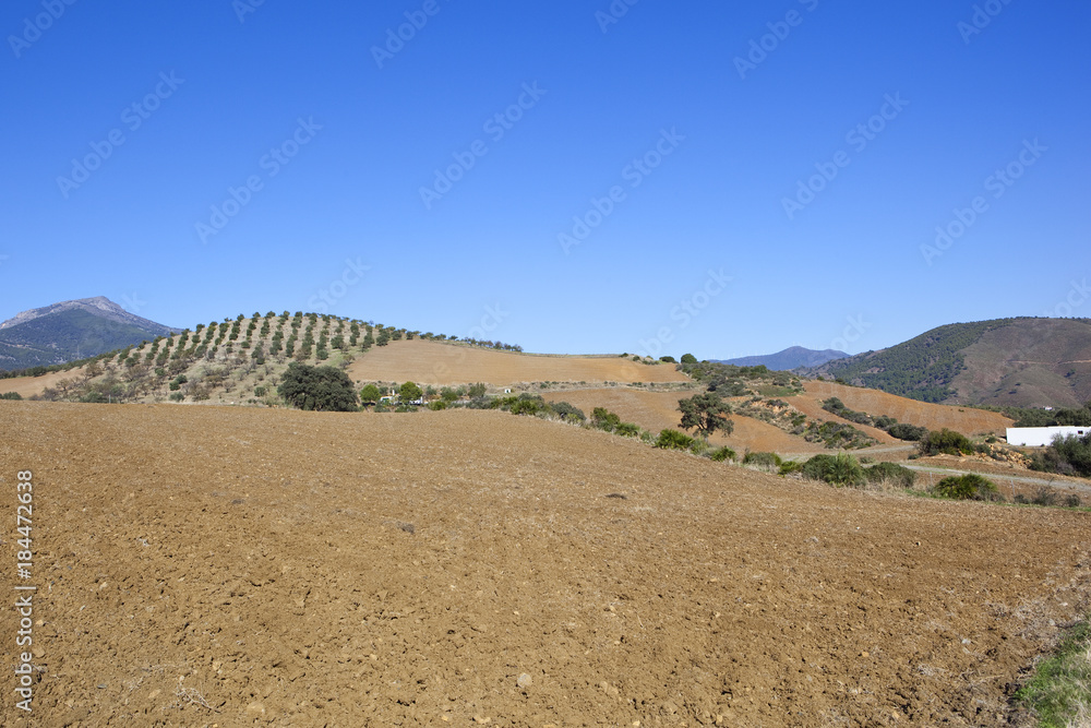 arable spanish landscape