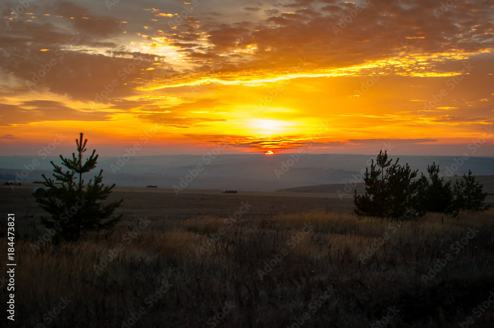 Obraz premium Beautiful sunset in the field