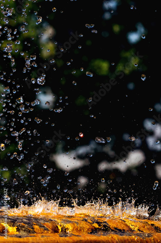 water droplets of different shapes on the background of green branches of trees