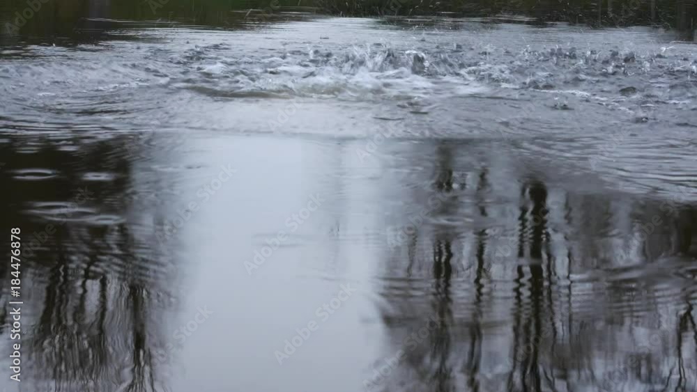 Stone Thrown into the Reflection of Trees on the Water Surface. No Camera Movement. Stone Thrown into the Reflection of Trees on the Water Surface. No Camera Movement.