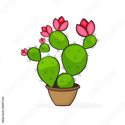 Mexican cactus icon