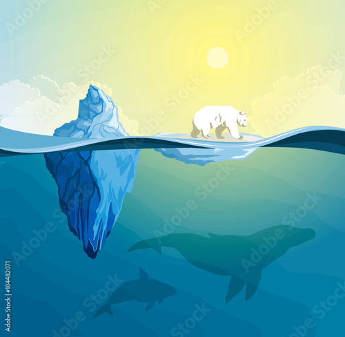 Polar Bear on polar pole, global warming concept