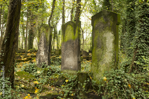 Fototapeta Naklejka Na Ścianę i Meble -  Cmentarz