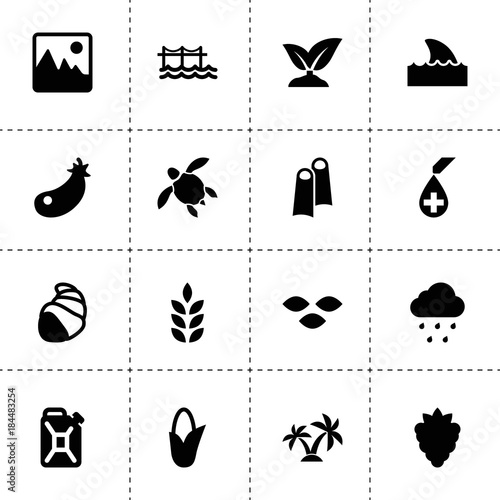 Nature icons. vector collection filled nature icons