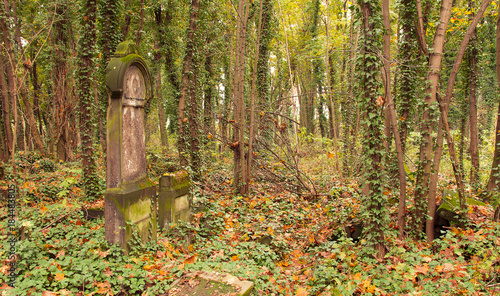 Fototapeta Naklejka Na Ścianę i Meble -  Cmentarz