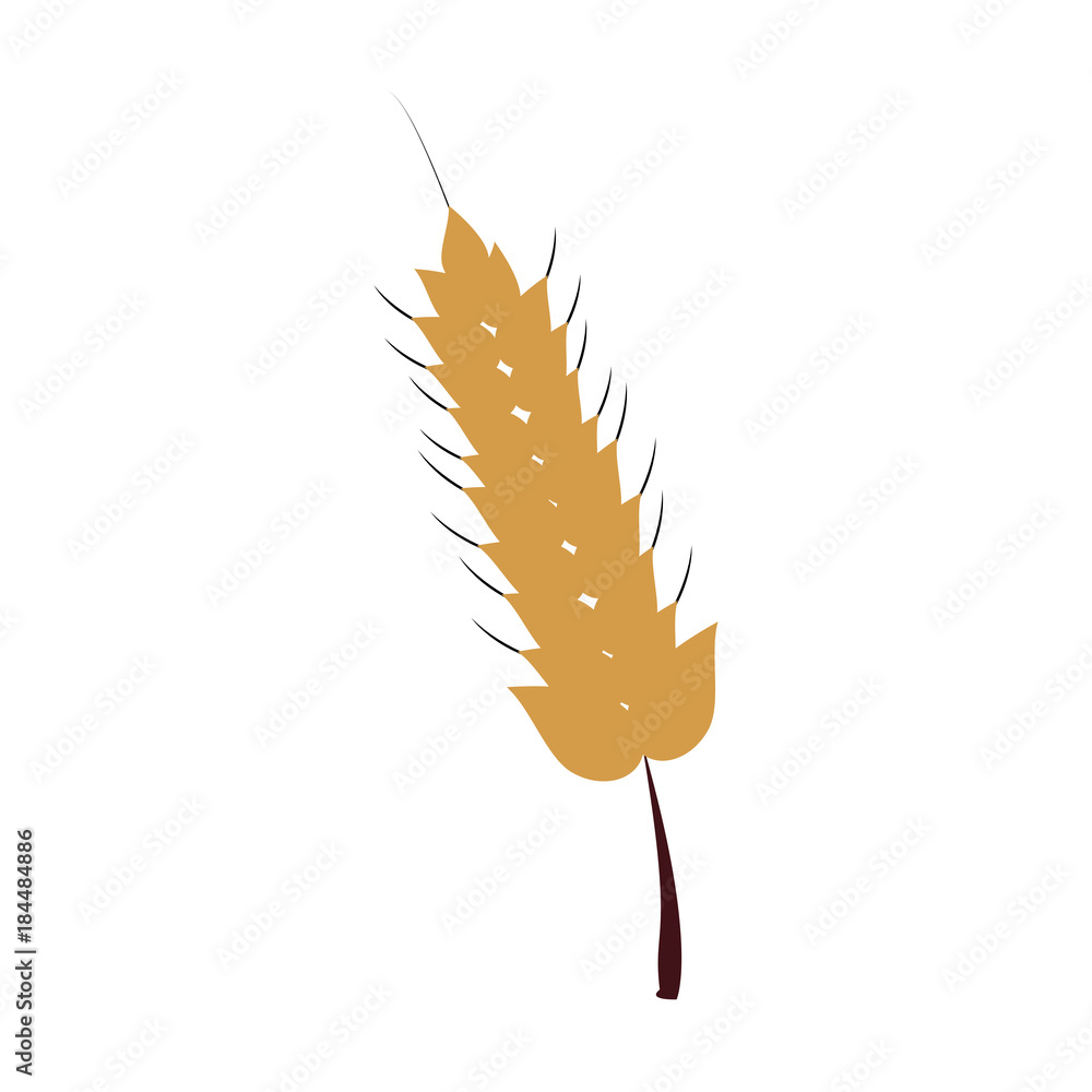 Harvest of wheat symbol icon vector illustration graphic design Harvest of wheat symbol icon vector illustration graphic design