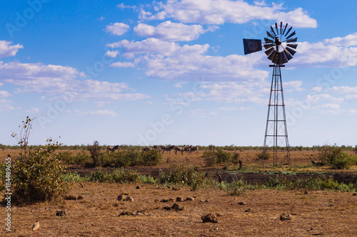 Windmill for Pumping Water from Kruger National Park