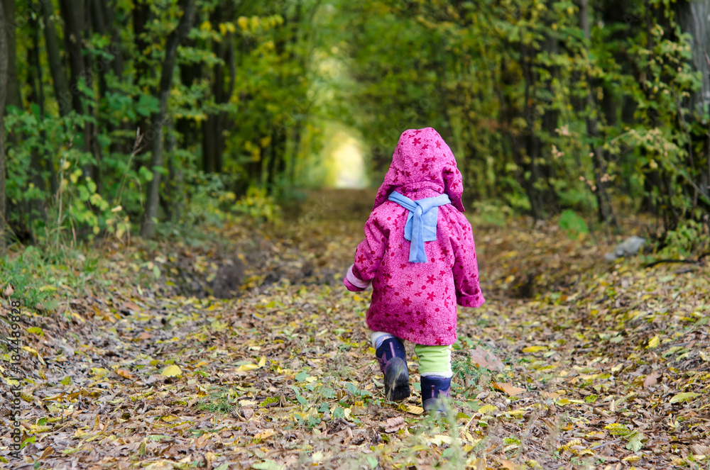 The child is walking in the autumn forest. View from the back The child is walking in the autumn forest. View from the back