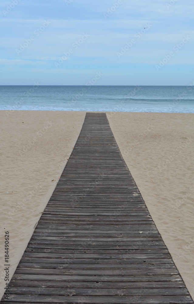 Walk to the sea Walk to the sea
