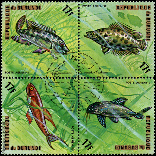 REPUBLIC OF BURUNDI - CIRCA 1974: stamps, printed in Burundi, shows a fishes: Ctenopoma acutirostre, Synodontis angelicus, Tilapia melanopleura, Aphyosemion bivittatum photo