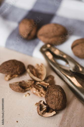 walnut © Wojciech