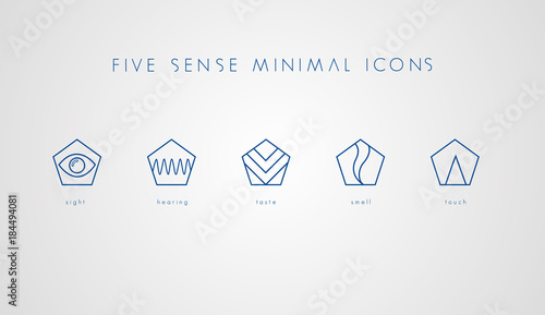 Five Sense Icons (ID: 184494081)