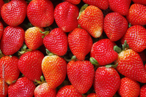 Top view of tasty ecuadorian strawberries freshly collected