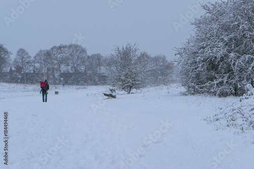 Father carrying his little daughter in forest park during a heavy snowfall