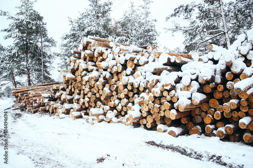 firewood in the snow. Sawmill