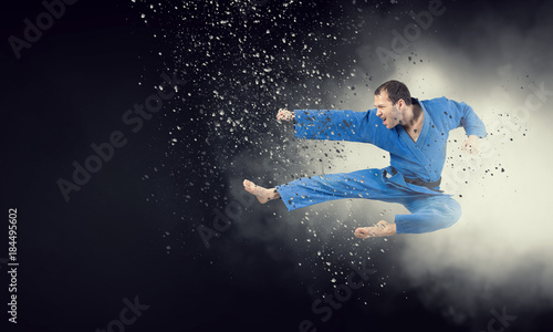 Wallpaper Mural Fighter practising his art Torontodigital.ca