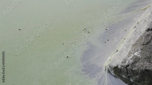 Film formed on  surface of water due to algae bloom. 
 photo