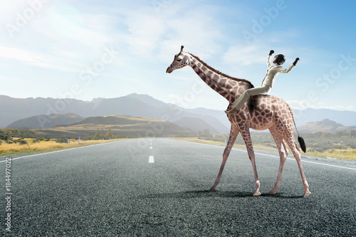 Photography Girl saddle giraffe . Mixed media