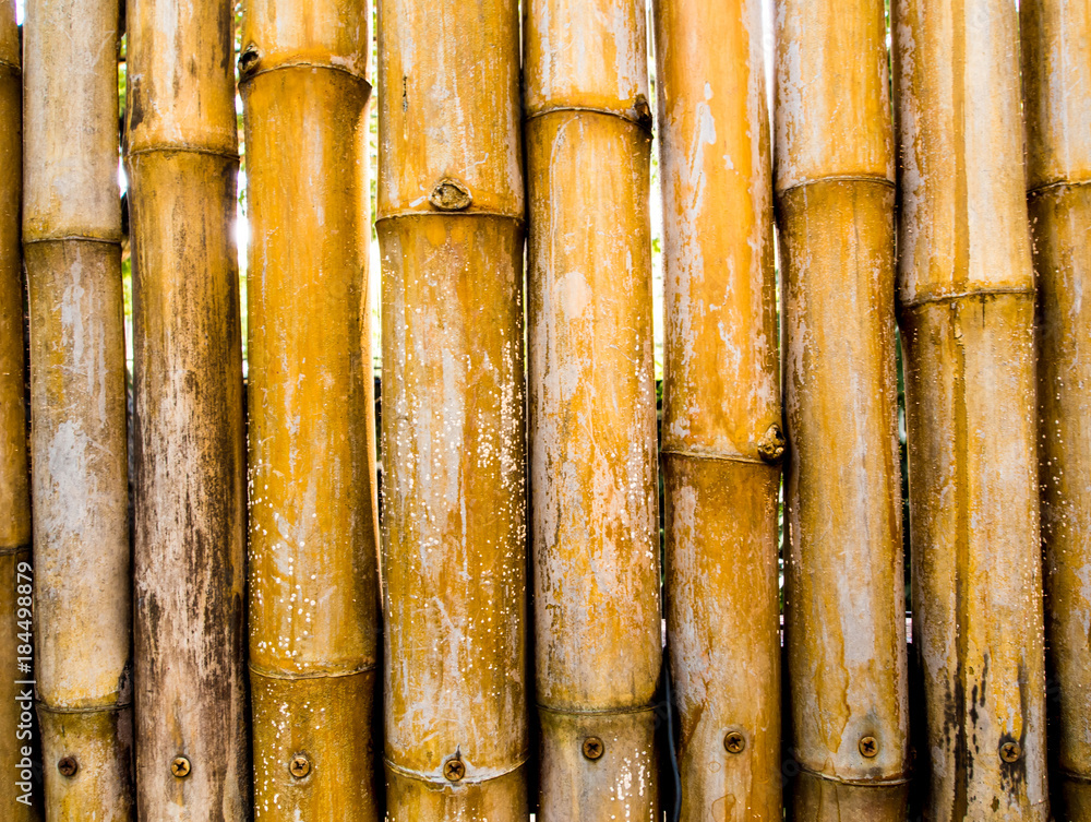 Texture of natural felling wall decorating from bamboo Texture of natural felling wall decorating from bamboo