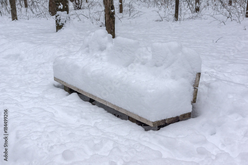 Wallpaper Mural Winter Landscape with snow covered trees in South Park in city of Sofia, Bulgaria
 Torontodigital.ca