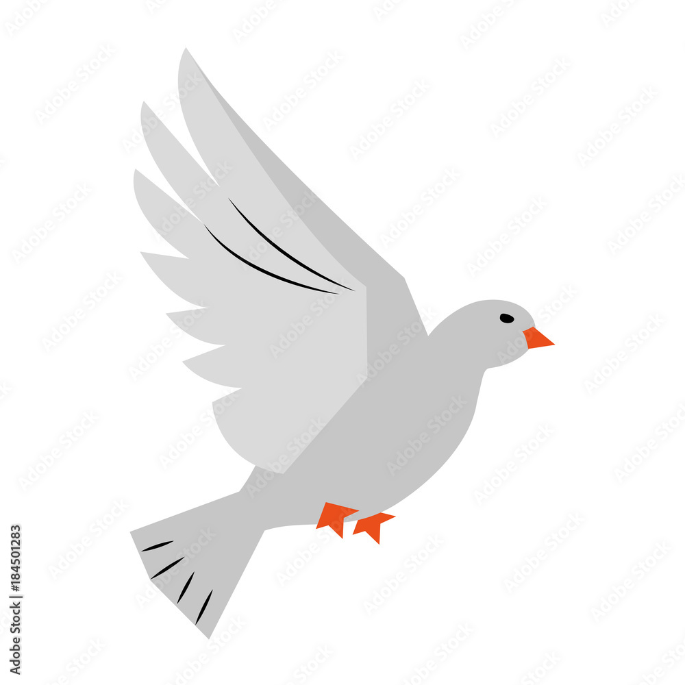 Obraz premium Dove bird symbol