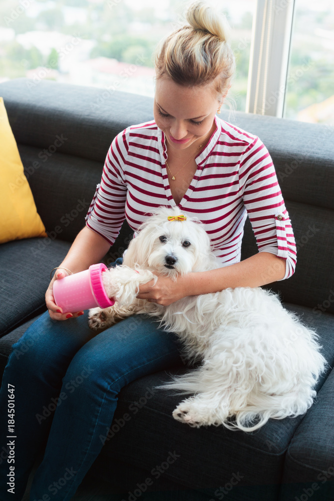 Dog Owner Cleaning Paws To Little Pet At Home Dog Owner Cleaning Paws To Little Pet At Home