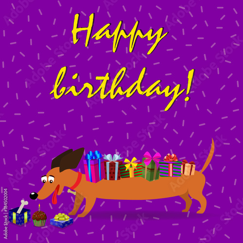 dachshund with  gift boxes upon the back watching on gift box