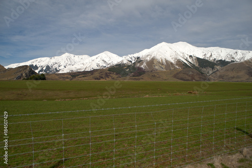 South Island Pasture photo