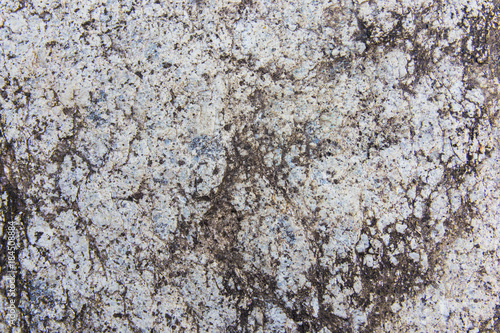 Obraz na płótnie natural stone texture w salonie