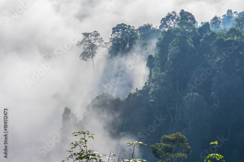 slow floating fog blowing cover on the top of mountain look like as a sea of mist. In the morning the cold weather is make floating fog on the mountain as a sea of mist photo