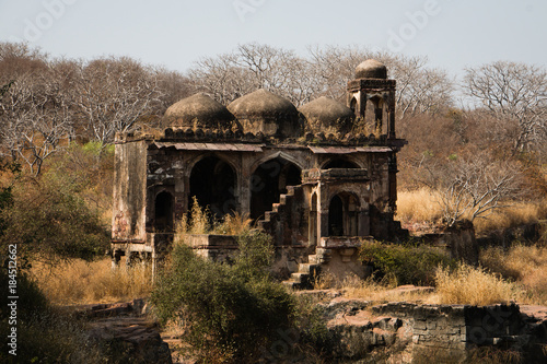 Ranthambhore Fort, Sawai Madhopur, Rajasthan, India photo