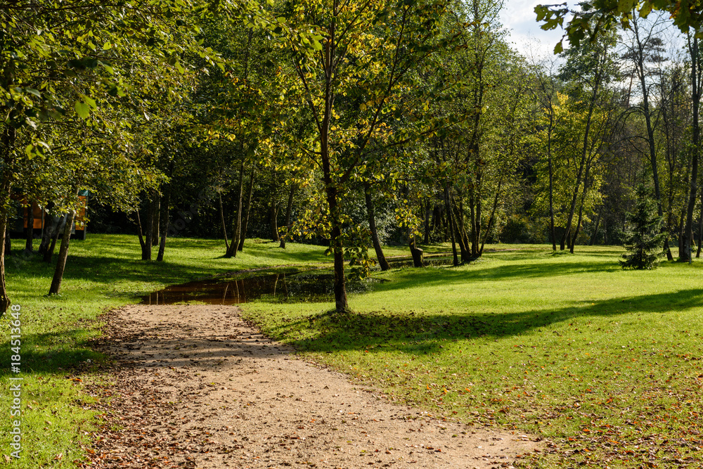 empty road in the countryside in summer. gravel surface