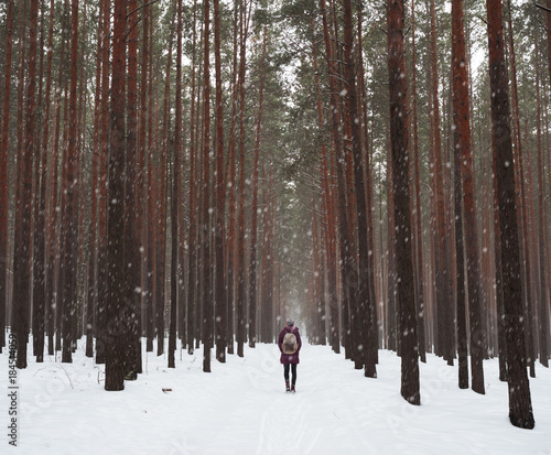Lonely girl with a backpack walking along the fabulous forest. Large snowflakes and beautiful tree trunks. © Nick Vakhrushev