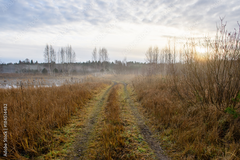 empty tractor road in the countryside in autumn. gravel surface empty tractor road in the countryside in autumn. gravel surface