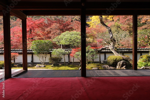 大和路の秋景色