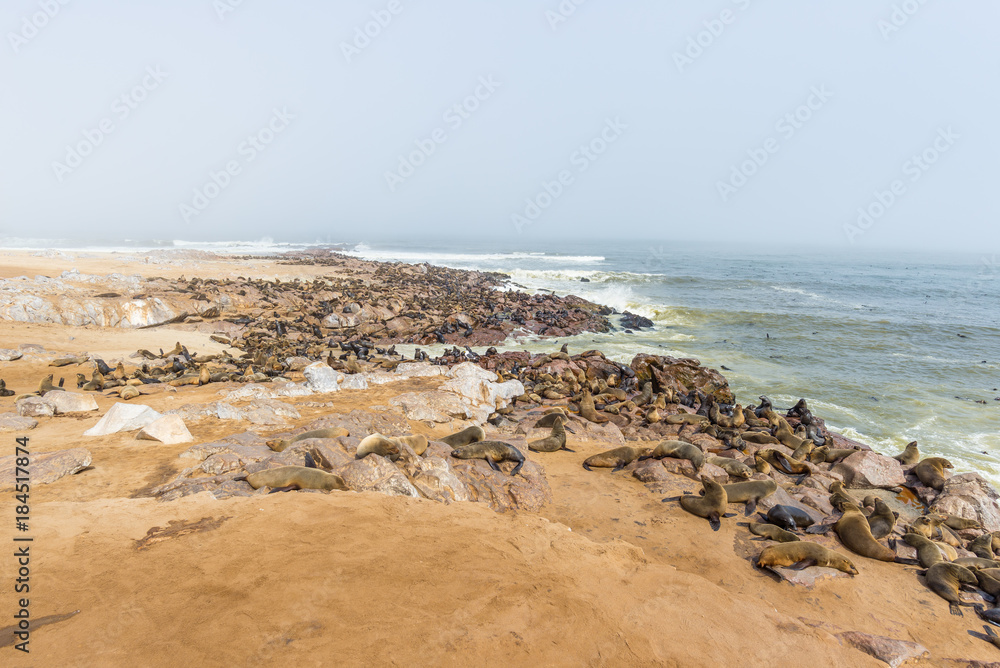 The seal colony at Cape Cross, on the atlantic coastline of Namibia, Africa. Expansive view on the beach, the rough ocean and the foggy sky.