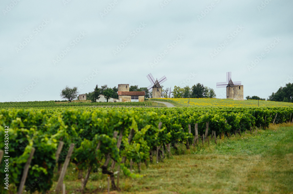 French vineyards and old wind mills