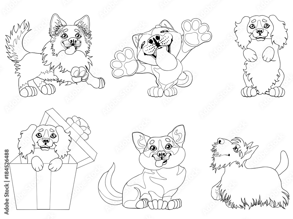 The set cute puppy dogs of a Border Collie, Cocker Spaniel, Akita Inu, Welsh Corgi and Scottish Terrier breeds. A black contour line on white. A vector cartoon illustration, page coloring book.