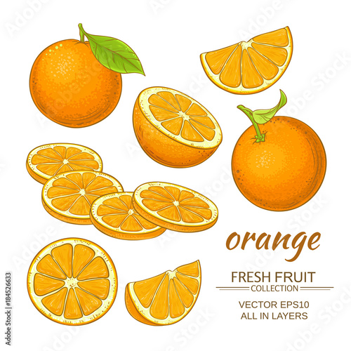 orange vector set