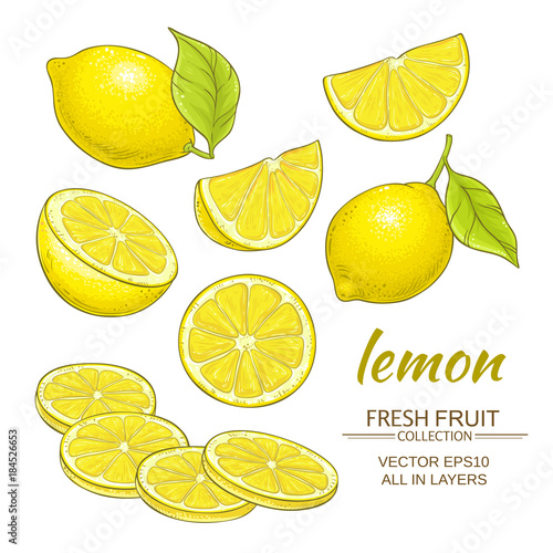 lemon vector set