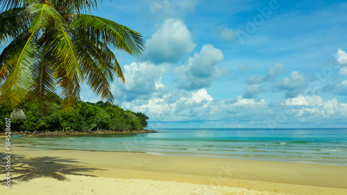 Fototapeta Naklejka Na Ścianę i Meble -  Beautiful tropical beach and very nice beach for relaxation, Breathtaking white sandy with coconut palm tree at Koh Kood Island, Koh Kood Island wear Located Trat province Thailand.