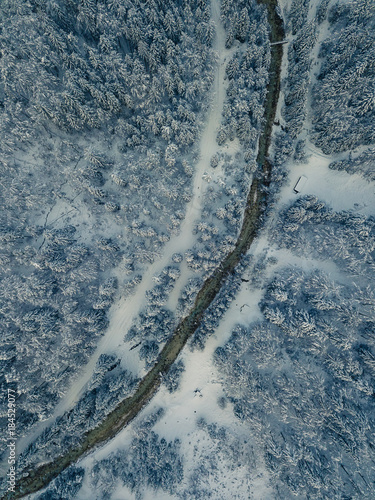 Aerial photo of glacier valley and snow covered forest. Forest from above. © sivivolk