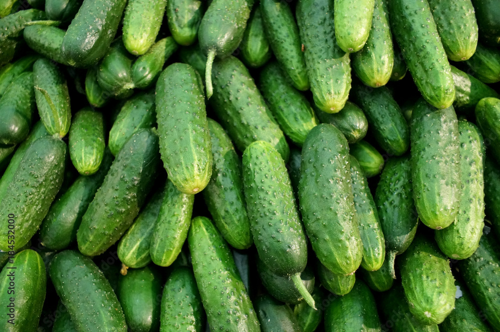 a large number of cucumbers a large number of cucumbers