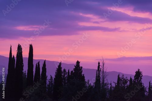Mystic violet sunset over the Tuscany hills with silhouettes of trees in the foreground, Italy