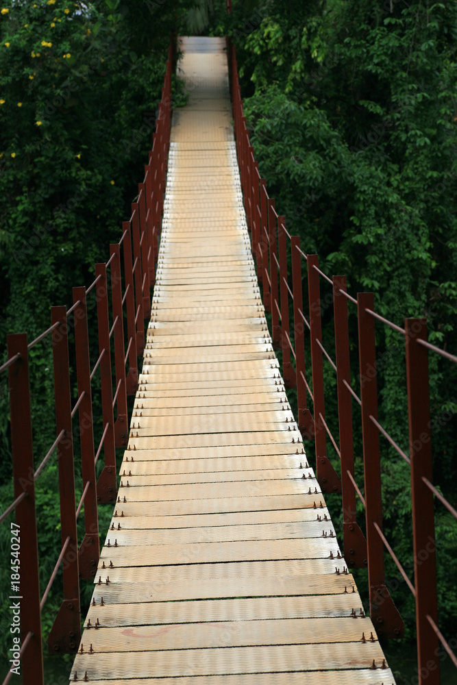 Obraz premium Suspension Bridge over Kelani River, Kitulgala, Sri Lanka